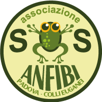 SOS Anfibi Padova e Colli Euganei